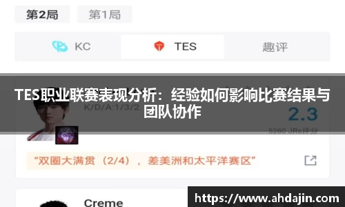 TES职业联赛表现分析：经验如何影响比赛结果与团队协作